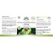 Garcinia Cambogia Extract 500mg - 100 Vegan Capsules | 60% HCA | High Dose | Herbadirekt by Warnke Vital - German Pharmacy Quality - Buy Online on GoSupps.com