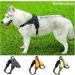 Tailup Adjustable Reflective Dog Harness for Small & Medium Dogs - Light Green Size M | Ideal for Puppies & Outdoor Adventures - Buy Online on GoSupps.com