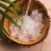 20G Fresh Water Kefir Grains Organic Certified Vegan Friendly Made in the UK. - Buy Online on GoSupps.com