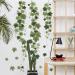 Runtoo Hanging Vine Wall Decals Green Ivy Plant Leaves Wall Stickers for Bedroom Living Room Wall Art Decor Hanging Vine Ivy