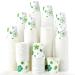 300 Pack Paper Cups, 3oz Disposable Bathroom Cups, Mouthwash Cups, Cold Disposable Drinking Cup for Party, Picnic, BBQ, Travel, and Event, Green Floral JP-3-ZB01-300