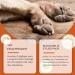 Dog Paw Cream Dog Foot Balm Dog Paw Soother Balm 50g Cream & Lotion and Soothes Irritated Paws and Elbows Protects Against - Buy Online on GoSupps.com