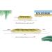 Bolder Long Stretch Back Scrubber Exfoliating Loofah Mesh Pouf Bath Shower - 2-Pack for Men and Women in Pink+Green - Buy Online on GoSupps.com