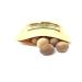 Ceylon Whole Nutmeg 2 oz - Organically Harvested, Aromatic Flavor Enhancer for Cooking - Buy Online on GoSupps.com