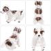 Buy Petcute XXL Waterproof Dog Raincoat - Transparent Breathable Hooded Rain Coat for Medium & Large Dogs - Buy Online on GoSupps.com