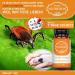 Saintnutrition Anti Tick Globules for Dogs & Cats | Natural Pet Treatment & Immediate Protection - Buy Online on GoSupps.com