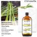 EUQEE Citronella Essential Oil 118ml - Pure Aromatherapy Oil for Diffusers and Humidifiers - Buy Online on GoSupps.com
