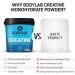 BODYLAB24 Creatine Powder 500g | Pure Creatine Monohydrate | High-Dose Energy & Strength | Clean Sport Cologne List | 100 Portions - Buy Online on GoSupps.com