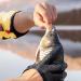 Jinxian Waterproof Fishing Gloves - Stab-Resistant Anti-Cut with Magnetic Buckles for Safe Pike & Zander Handling - Best Fishing Accessories - Buy Online on GoSupps.com