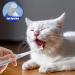 Ranley Tiny Dog Toothbrush | Dog Tooth Brush Cat Teeth Brush - Anti-Slip Handle Cat Tooth Care Brush Safe Pet Teeth Cleaning Kit for Puppy Kitten Cats and Small Breed Dogs - Buy Online on GoSupps.com
