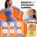 HOLLEGEND Potassium Gummies 1000mg Maximize Absoption Blend with Vitamin B6 Magnesium Potassium Citrate Supplement for Adults Sugar Free 60 Count - Buy Online on GoSupps.com