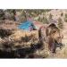Udap BEF Bear Shock Electric Fence - Ultimate Wildlife Protection - Buy Online on GoSupps.com