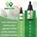 Hemp Oil Drops (3 Pack) High Potency - for Focus Calm Mood Maximum Strength Natural Hemp Seed Oil - with C02 Extraction Vegan Non-GMO Hemp Tincture - Buy Online on GoSupps.com