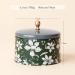 Buy La Jolie Muse Cypress & Cedar Fragrance Candle - 185g Soy Wax Christmas Gift | 35 Hours Burn Time - Buy Online on GoSupps.com