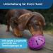 PetSafe Twist-n-Treat Dog Toy | Fillable Treat Toy | Customizable Dispensing & Dishwasher Safe | Purple L - Shop Now for International Shipping! - Buy Online on GoSupps.com