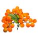 Ciieeo String Foam halloween fake fruit egg fruit branch decorations artificial fruit bunch crafts fruit flowerpot decorate puzzle skull fake fruit skewers Model fruit skewers Toy