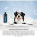 GROOM PROFESSIONAL Coconut Moisturising Dog Shampoo - Soothing & Nourishing 4L - Buy Online on GoSupps.com