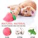 Set of 10 Catnip Toys for Indoor Cats | Interactive & Squeaky Kitten Supplies for Dental Health | Perfect Gift for Cat Lovers - Buy Online on GoSupps.com