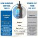 Liposomal Cortisol Shield Ashwagandha Magnesium Theanine Phosphatidylserine St Johns Wort Liquid Drops Ultra Potent Natural Taste USA Made & Lab Tested 2 FL OZ (60ml) 60ml (pack of 1) - Buy Online on GoSupps.com