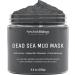 New York Biology Dead Sea Mud Mask with Aloe Vera Gel - Spa Quality Pore Reducer for Acne, Blackheads & Oily Skin - Buy Online on GoSupps.com