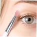 Didiseaon 10pcs Eye Shadow Brush Makeup Brush Eyeliner Eye Crease Eye Makeup Accessory Eyes Makeup Tools Miss - Buy Online on GoSupps.com