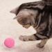 Xiwupo 50-Piece Cat Toy Balls - Felt Balls for Cats & Kittens - Perfect for Chasing & Catching Fun - Buy Online on GoSupps.com