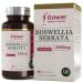 GH Boswellia Serrata 2000mg High Strength Capsules | 5:1 Boswellia Extract | 240 Vegan Capsules | Boswellia Frankincense Supplement | Non-GMO & Gluten Free | Made in The UK 120 Count (Pack of 1)