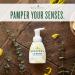 Young Living Lushious Lemon Foaming Hand Soap 8 fl oz 3-Pack | Plant-Based Citrusy Cleanser with Aloe & Ginkgo Biloba | Soft Hand Wash - Buy Online on GoSupps.com