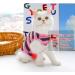 Clrybo Katzenbody: Professional Recovery Suit for Cats Anti-Trim Post-Surgery & Skin Disease Support Striped Design - Buy Online on GoSupps.com