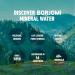 Buy Borjomi Sparkling Natural Mineral Water - 25.3 Fl Oz Plastic Bottles (Pack of 6) | International Shipping Available - Buy Online on GoSupps.com