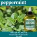 Hair Chemist Peppermint Hair Oil 7.1 oz - Soothing Scalp Care - Buy Online on GoSupps.com
