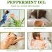 Peppermint Essential Oil - 100% Natural for Hair and Skin | Headache Relief | 100ml - Buy Online on GoSupps.com