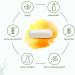 Buy Microflorana MSM Capsules - 400 Pieces - 480mg Sulfur Capsules - Bitter Taste Free - Made in Germany - Untreated & Unpressed Methylsulfonylmethan - Buy Online on GoSupps.com