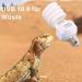Dernord UVB and UVA Light Bulb 10.0 - 23W Compact Lamp for Lizard Leopard Gecko Turtle & Snake - Optimal UV Light for Reptile Care - Buy Online on GoSupps.com