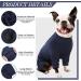 Kuoser Dog Recovery Suit Long Sleeve Bodysuit for Wound Protection - Blue M - Buy Online on GoSupps.com