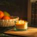 Buy Bluecorn Botanica Beeswax Candle - 3-Wick Pure Beeswax & Vanilla Scented Candle | International Shipping Available - Buy Online on GoSupps.com