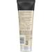 John Frieda Blonde+ Repair System Bond Building Shampoo| STEP 2 | Repairs Strengthens and Nourishes Blonde Damaged from Lightening 250mL - Buy Online on GoSupps.com