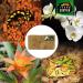Buy Terra Exotica Sphagnum Moss (5 Kg) - Premium Peat Moss for Garden Houseplants & Terrariums | Fast International Shipping - Buy Online on GoSupps.com