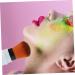 Angoily Telescopic Powder Brush Retractable Brush Blush Brush Makeup Brush Loose Brush Retractable Blusher Brush Face Fluffy Foundation Powder Brush Telescopic Brush Marbling Paint Plastic - Buy Online on GoSupps.com