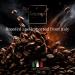 Caff Piceno Vanilla 50 Coffee Capsules Compatible with Nespresso Original Line Machines Intensity 7 Made In Italy Vanilla 5 Pack - Buy Online on GoSupps.com