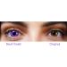 Buy Violet Colored Contact Lenses | Crazy Annual Soft Lenses for Halloween Carnival & Anime - 2 Pieces + Containers - Buy Online on GoSupps.com