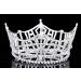 Silver Plated Rhinestone Crystal Pageant Tiara Crown - T1016 - Buy Online on GoSupps.com