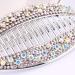 LEORX Banana Fish Hair Clip Rhinestones Ponytail Hair Comb Hair Barrettes Rhinestone Locking Hair Clip for Women 4pcs (Gold Silver) - Buy Online on GoSupps.com
