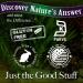 Nature's Answer St. John's Wort - Organic Mood Support & Stress Relief | 1 oz - Buy Online on GoSupps.com