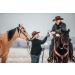 Trailmax Horn Saddlebag & Pommel Pocket Combo | Western & Endurance Saddlebags for Trail Riding | Durable Black Saddlebags for Horses - Buy Online on GoSupps.com