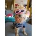 CocoPet Adorable Dog Goggles - UV Protection Waterproof Sunglasses for Small Medium Dogs - Pink - Buy Online on GoSupps.com