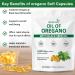 GEHALUKS Oil of Oregano with Black Seed Oil Softgels | 6000mg | Non-GMO Gluten Free | Antioxidant & Seasonal Wellness Support | 300 Capsules-001 - Buy Online on GoSupps.com