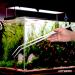 Vorestic 38cm Aquarium & Terrarium Long Tweezers Set | Reptile Feeding Tongs Kit - Buy Online on GoSupps.com