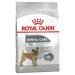 Royal Canin Mini Dental Care Dog food 3kg