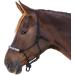 WALDHAUSEN Knotted Halter for Ponies - Black Pearls | Premium Quality Equestrian Gear | International Shipping Available - Buy Online on GoSupps.com